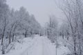 Snowy winter road in the forest with trees covered by hoarfrost Royalty Free Stock Photo