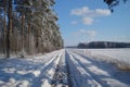 Snowy Winter Road Through a Pine Forest Royalty Free Stock Photo