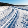 Snowy winter road with tire markings Royalty Free Stock Photo