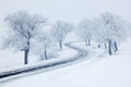 Snowy winter road, trees with snow and fog Royalty Free Stock Photo
