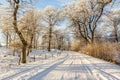 Snowy winter road through the woodland Royalty Free Stock Photo