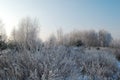 Snowy winter rural landscape