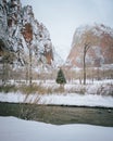 Snowy winter scene along the Virgin River, Utah Royalty Free Stock Photo