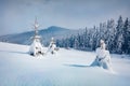 Snowy winter scenery. Astonishing morning view of mountain forest. Royalty Free Stock Photo