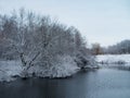 Snowy winter trees along the bank of the river in the thin winter cold fog at the sunset - winter picturesque landscape. Cold Royalty Free Stock Photo