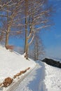 Snowy winter walking way Royalty Free Stock Photo