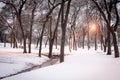 Snowy winter wonderland trees and forest in park with snowcover on ground and creek Royalty Free Stock Photo