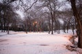 Snowy winter wonderland trees and forest in park with snowcover on ground and creek Royalty Free Stock Photo