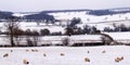 Snowy winters day in rural England Royalty Free Stock Photo