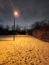 Snowy Wintery Walk Royalty Free Stock Photo