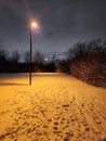 Snowy Wintery Walk Royalty Free Stock Photo