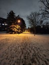 Snowy Wintery Walk Royalty Free Stock Photo