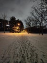 Snowy Wintery Walk Royalty Free Stock Photo