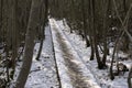 Snowy wood walkway winter forest in the flemish countryside Royalty Free Stock Photo