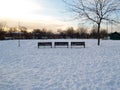 Snowy wooden benches in a park in Montreal Royalty Free Stock Photo