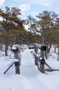 A snowy wooden bridge on a walking path on a winter day