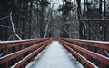 Snowy, wooden bridge in a winter day. Winter frosty trees and old snowy bridge in the winter park. Snow covered bridge and forest Royalty Free Stock Photo