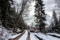 Snowy woodland path in the middle of the winter forest Royalty Free Stock Photo