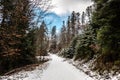 Snowy woodland path in the middle of the winter forest Royalty Free Stock Photo