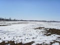 After the snowÃ¯Â¼Å Chinese northern wilderness