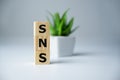 SNS wood letters on wooden cubes on white