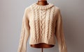 Snug Cable Pattern Sweater on generative ai .