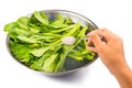 Soak vegetable in water with salt to remove pesticides residues