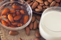 Soaked almonds and almond milk Royalty Free Stock Photo