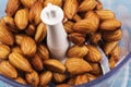 Soaked almonds ready making almond milk in blender Royalty Free Stock Photo