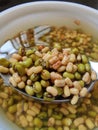 Picture of soaked green gram sprouts which is healthy and testy Royalty Free Stock Photo