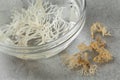 Soaked irish moss Royalty Free Stock Photo