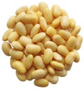 Soaked Soybeans Royalty Free Stock Photo