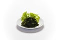 Soaked wakame seaweed Royalty Free Stock Photo