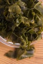 Soaked wakame seaweed Royalty Free Stock Photo