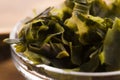 Soaked wakame seaweed Royalty Free Stock Photo