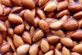 Soaking Almonds In Water, Close-Up