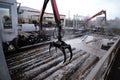 Soaking birch wood - the first stage in the production of plywood