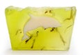 Soap with algae Royalty Free Stock Photo