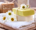 Soap bars chamomile, closeup view. Natural herbal beauty products Royalty Free Stock Photo