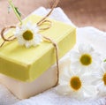 Soap bars chamomile, closeup view. Natural herbal beauty products Royalty Free Stock Photo