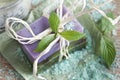 Soap bars with natural ingredients