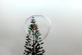 Soap bubble Royalty Free Stock Photo