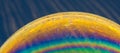 Soap bubble close up - colourful edges on dark background