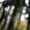 Soap bubble. Royalty Free Stock Photo
