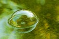 Soap bubble floating on water