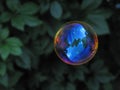 Soap bubble Royalty Free Stock Photo