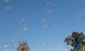 Bubble. Citadel Park. Color. Public. Balloons. Sky