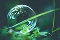 The soap bubble shimmers against the background of green grass and palms. Close-up photo. Royalty Free Stock Photo