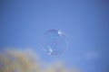 Soap bubble in the sky