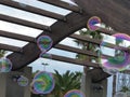 Soap bubble in Spain, festive day